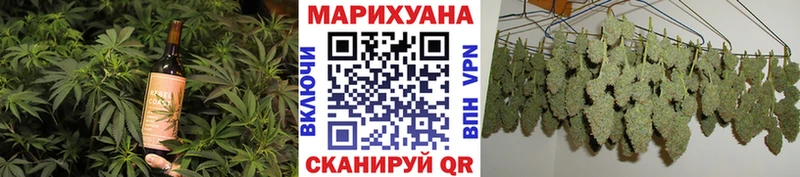 Canna-Cookies конопля Новоалександровск