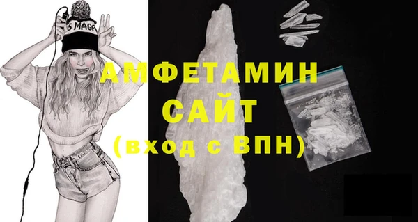 стаф Алзамай