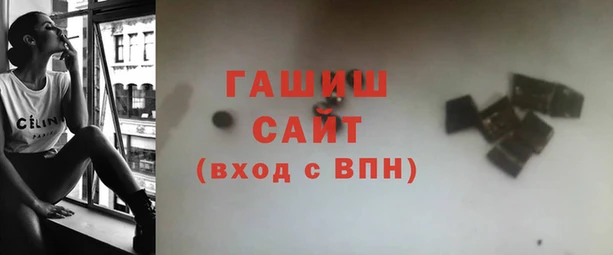 стаф Алзамай