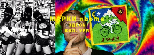 стаф Алзамай