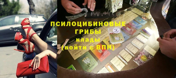 гашик Сафоново