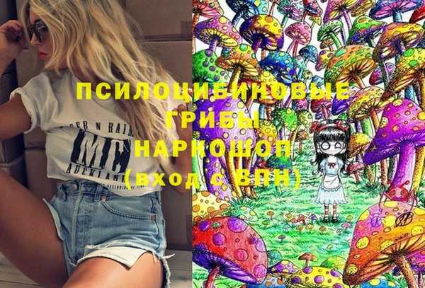 стаф Алзамай