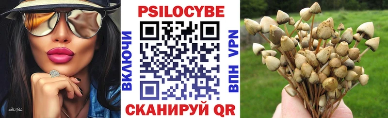 Псилоцибиновые грибы мухоморы МЕГА ссылки Новоалександровск