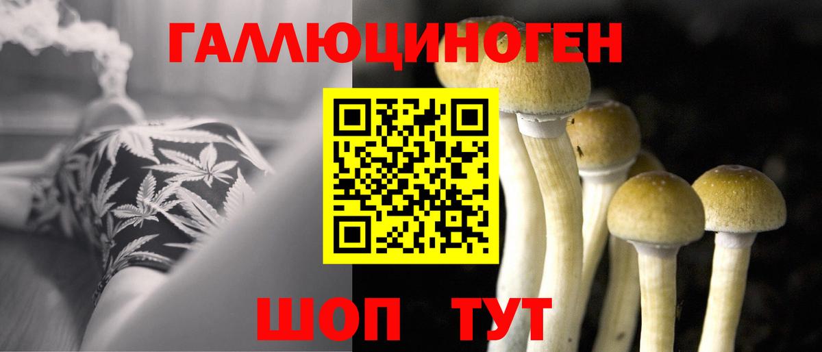 Псилоцибиновые грибы GOLDEN TEACHER  Вход с VPN  Новоалександровск 